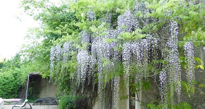 Mas du Puits d'Amour