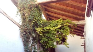 Un patio cubierto con plantas en macetas y un banco de madera.