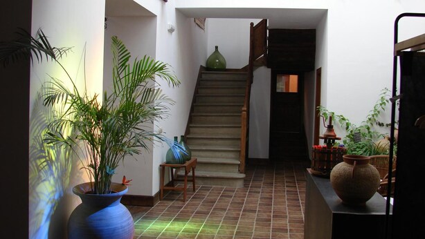 Amplio espacio interior con una escalera que conduce a un nivel superior, rodeado de plantas en macetas y un piso de baldosas.