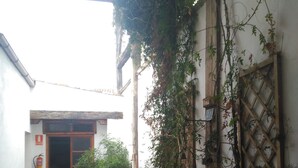 Un estrecho patio con plantas en macetas, un extintor y una puerta de madera.