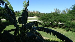 Un paisaje verde exuberante con un campo de golf, follaje denso y un cielo azul despejado.
