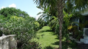 Jardín