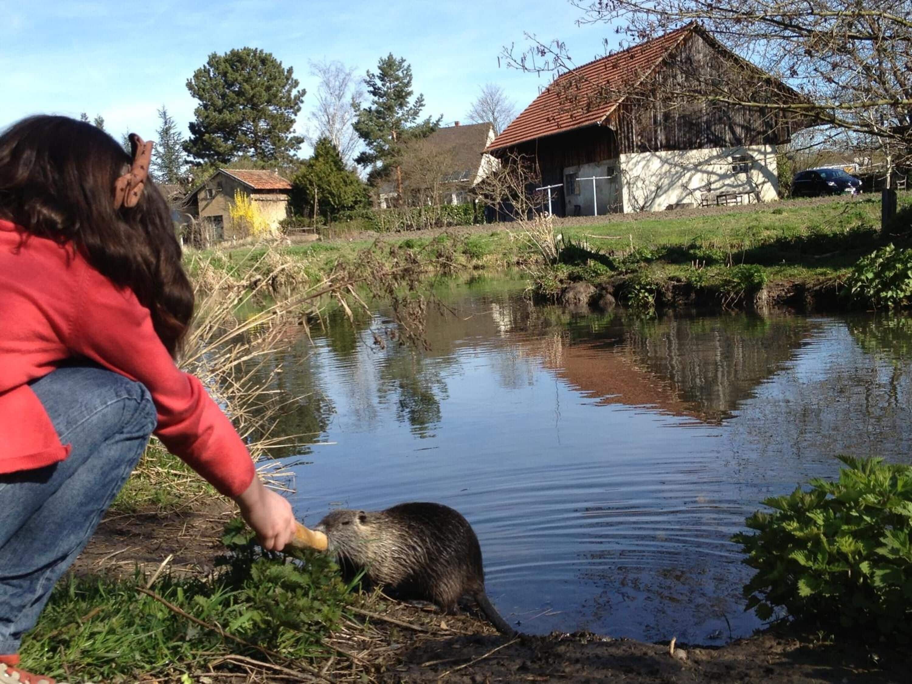Foto - Villa Élyane