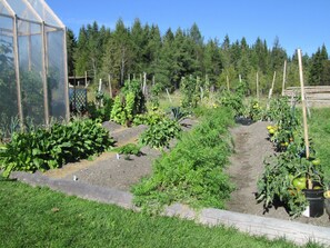 Garden - Le Jardin des Mésanges (Saint-Cyprien)