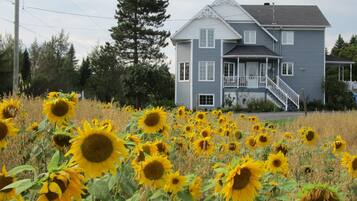 Façade de lâhĂ©bergement