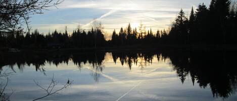 Un lago tranquilo que refleja árboles y un cielo despejado.