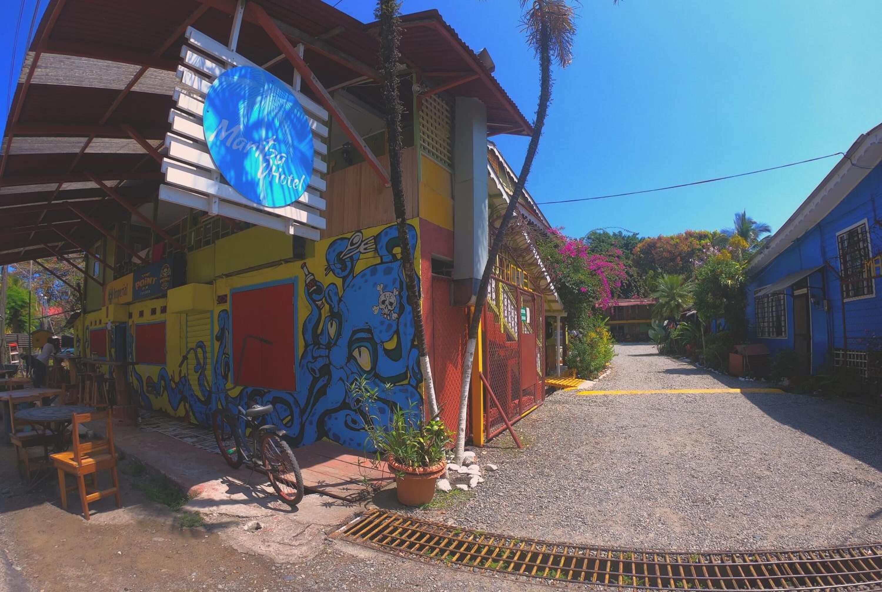 Um edifício colorido com arte de grafite, uma bicicleta e um vaso de planta.