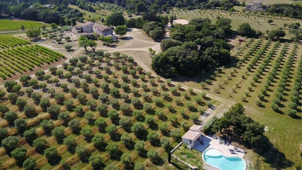 An aerial view of a vineyard with rows of grapevines, a swimming pool, and a small building. - La Rivayne (Lauris)