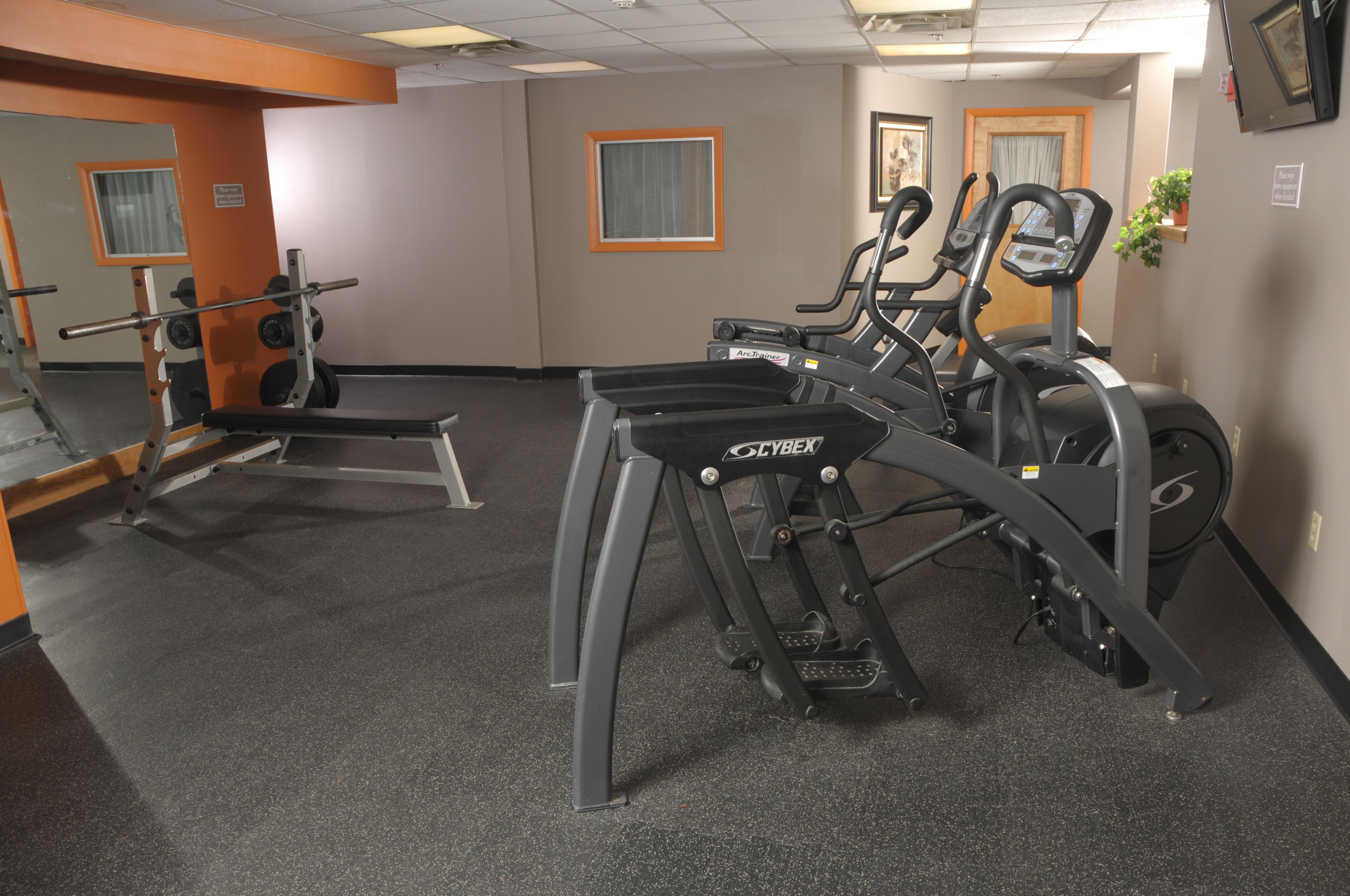 A gym with exercise equipment including a bench, a squat rack, and treadmills.