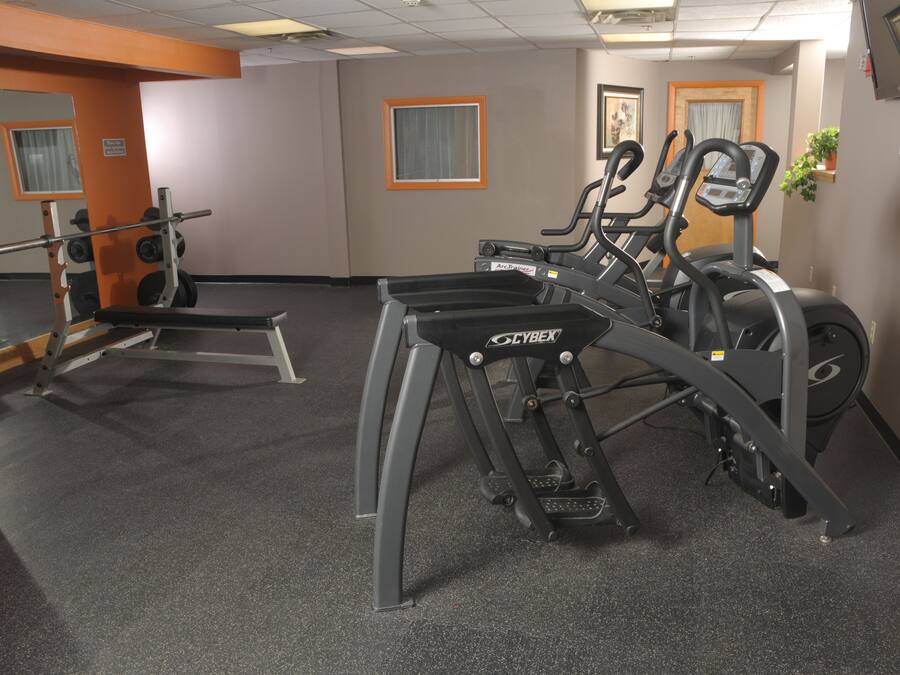 A gym with exercise equipment including a bench, a squat rack, and treadmills.