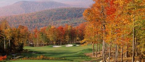 A golf course with a clear view of the surrounding forest and distant mountains.