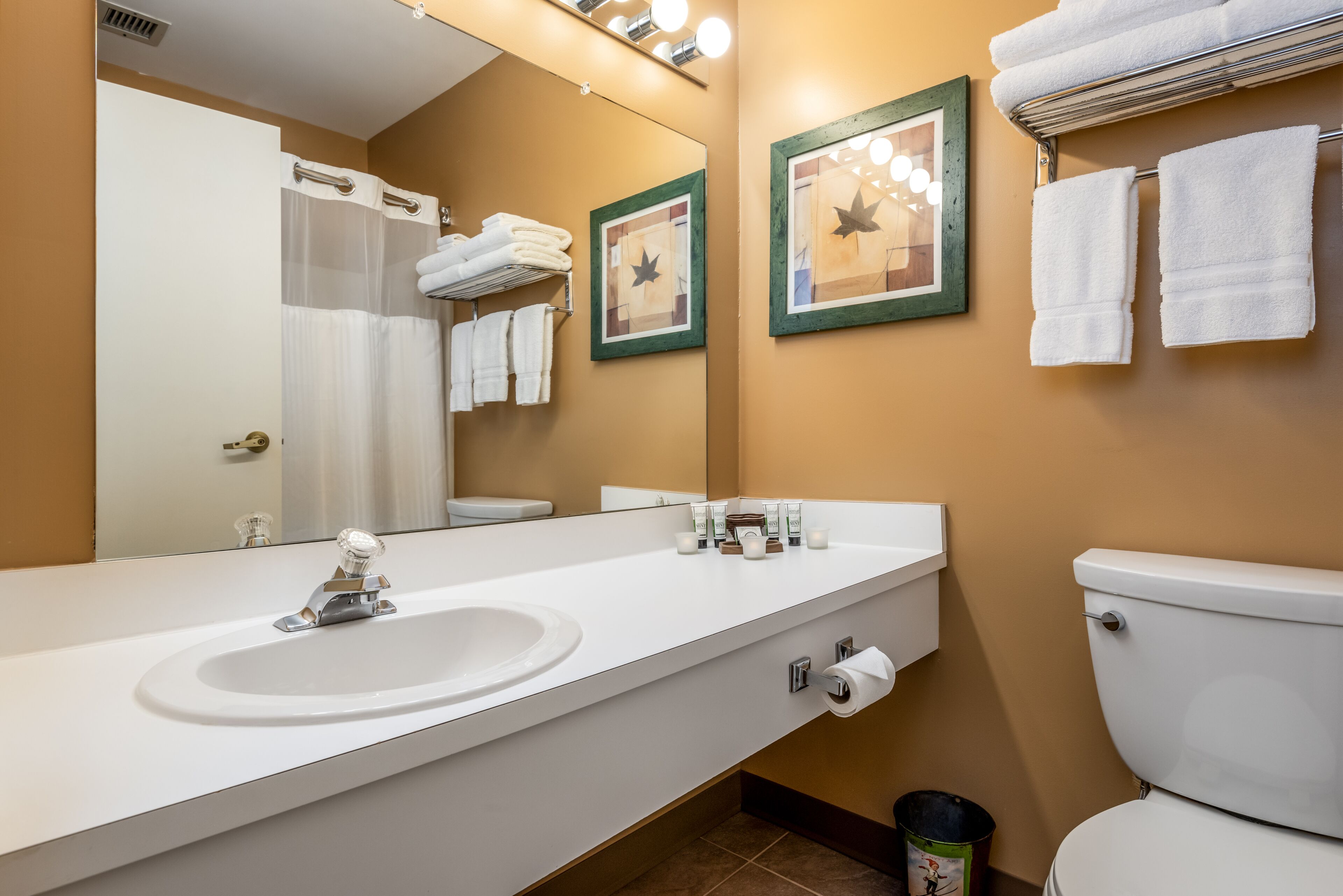 Une salle de bain moderne avec un lavabo blanc, des toilettes et un rideau de douche. Des tableaux encadrés ornent le mur, et un porte-serviettes est muni de serviettes.