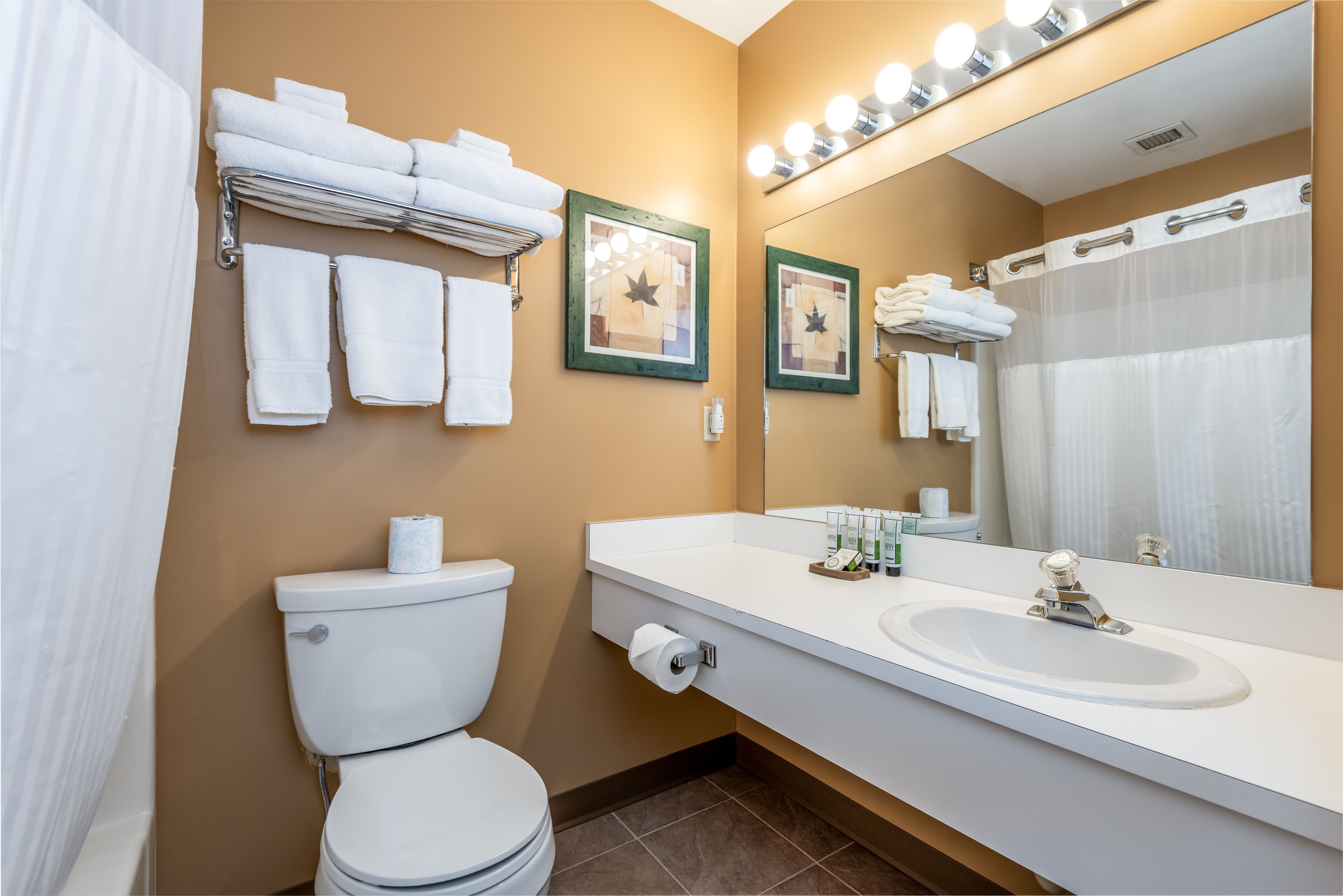 A bathroom with a toilet, sink, and towel rack.