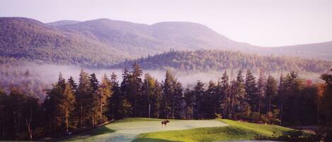 Un terrain de golf où l’on aperçoit un seul joueur au loin, entouré d’une forêt dense et de montagnes.