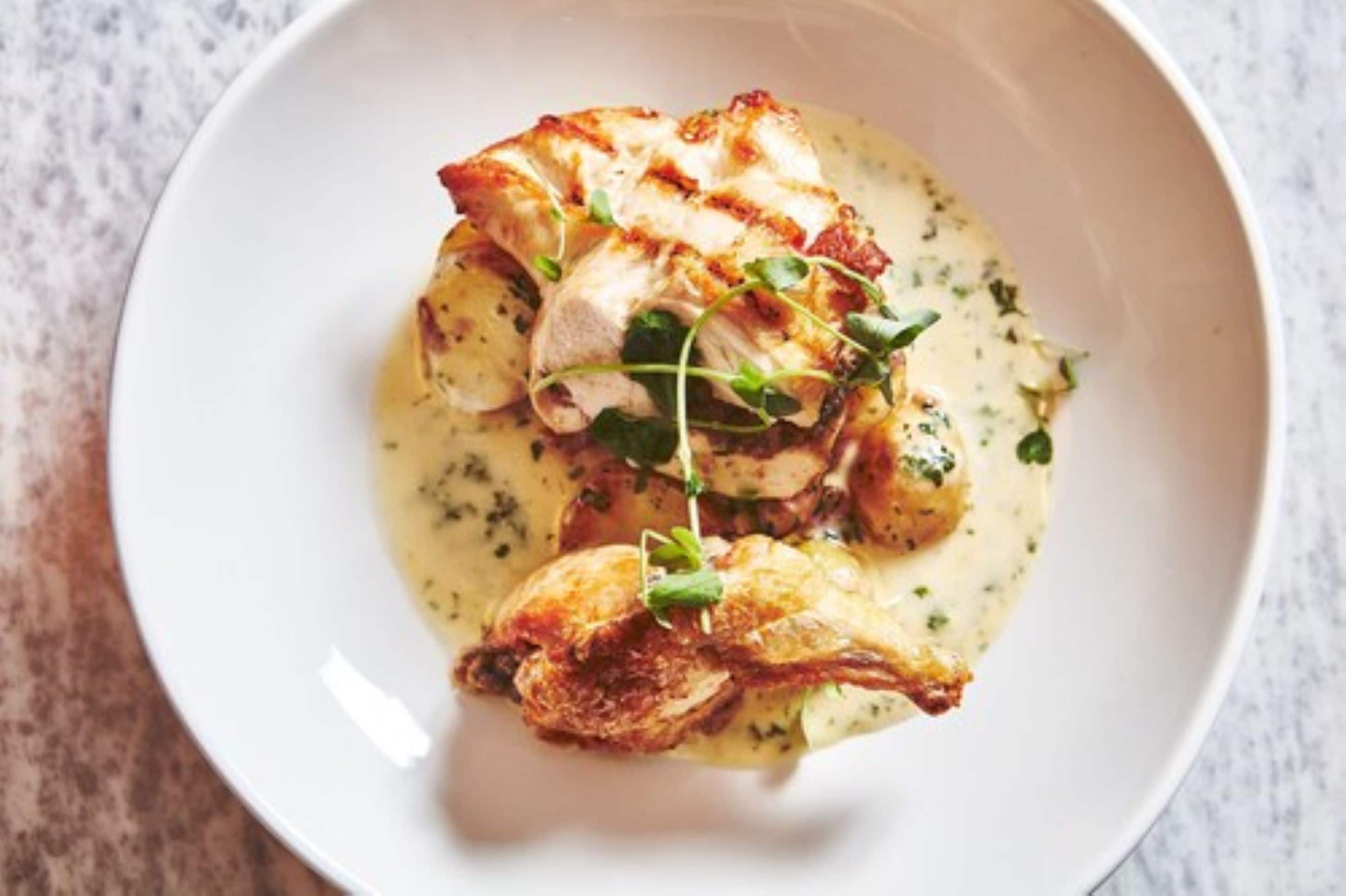 A white plate with a dish of roasted chicken and potatoes in a creamy sauce, garnished with herbs.