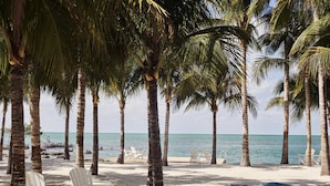 Une plage avec des chaises blanches et des kayaks, des palmiers, et une vue dégagée sur l’océan.