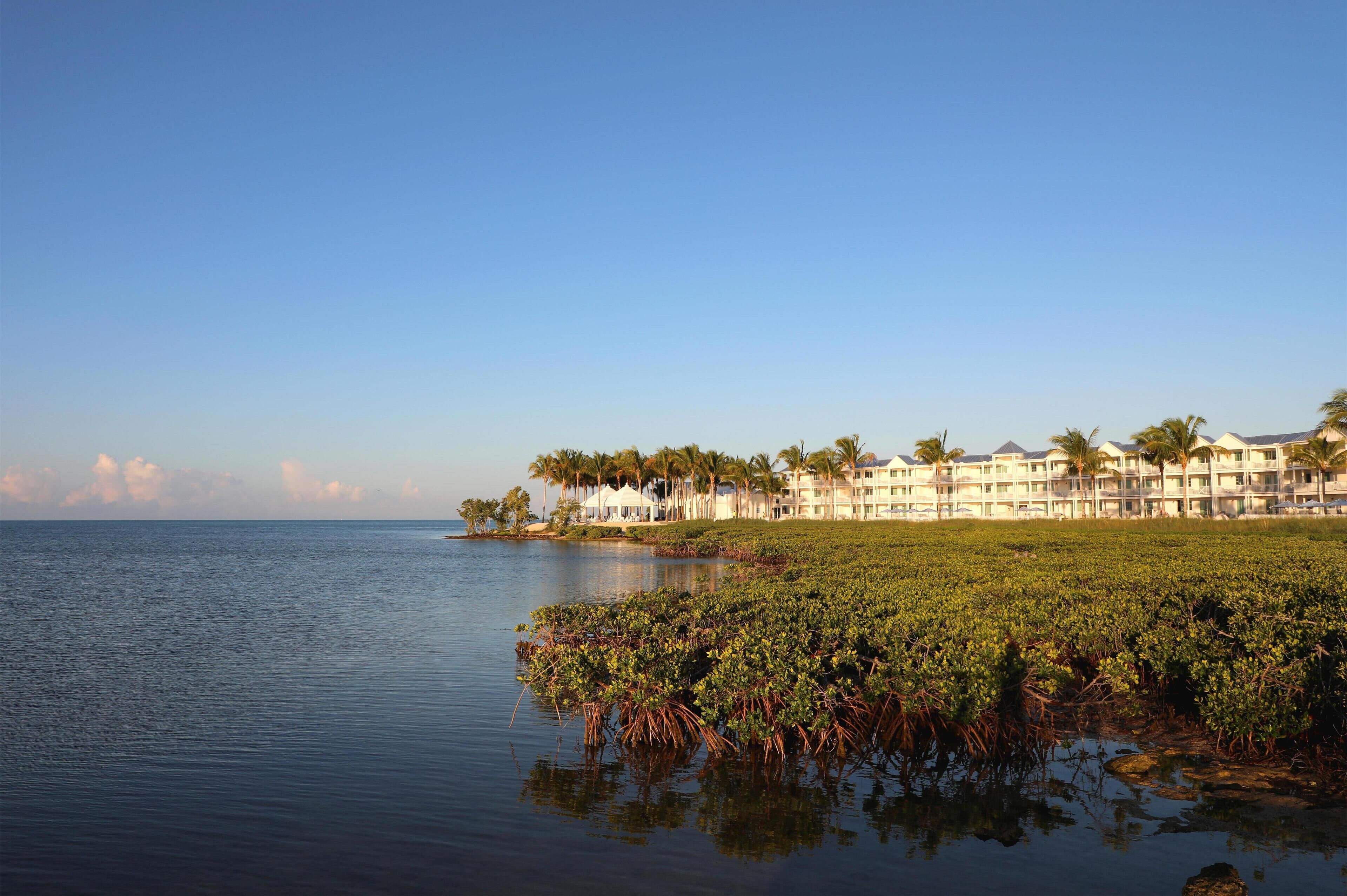 A beachfront hotel with a pool, palm trees, and a clear sky.