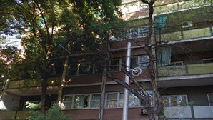 Un edificio de varios pisos con entrada a nivel de calle, una escalera visible y un árbol en frente.