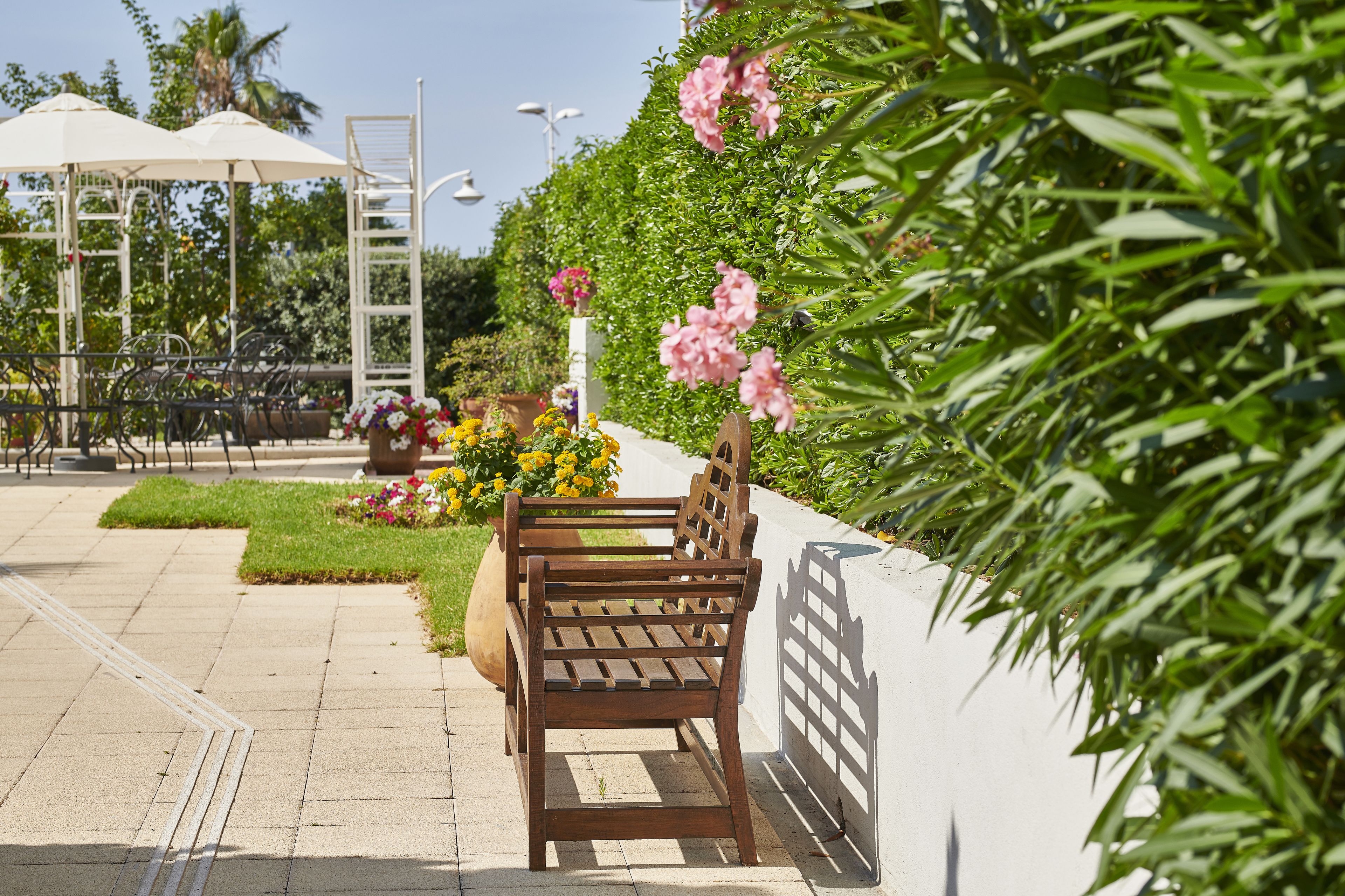 A wooden bench with a white railing, a planter with flowers, and a white wall with greenery.