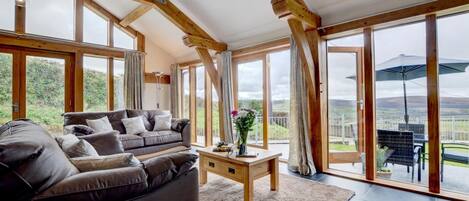 Télévision, lecteur de DVD, livres