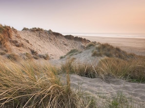 A beach with sand dunes and grass.