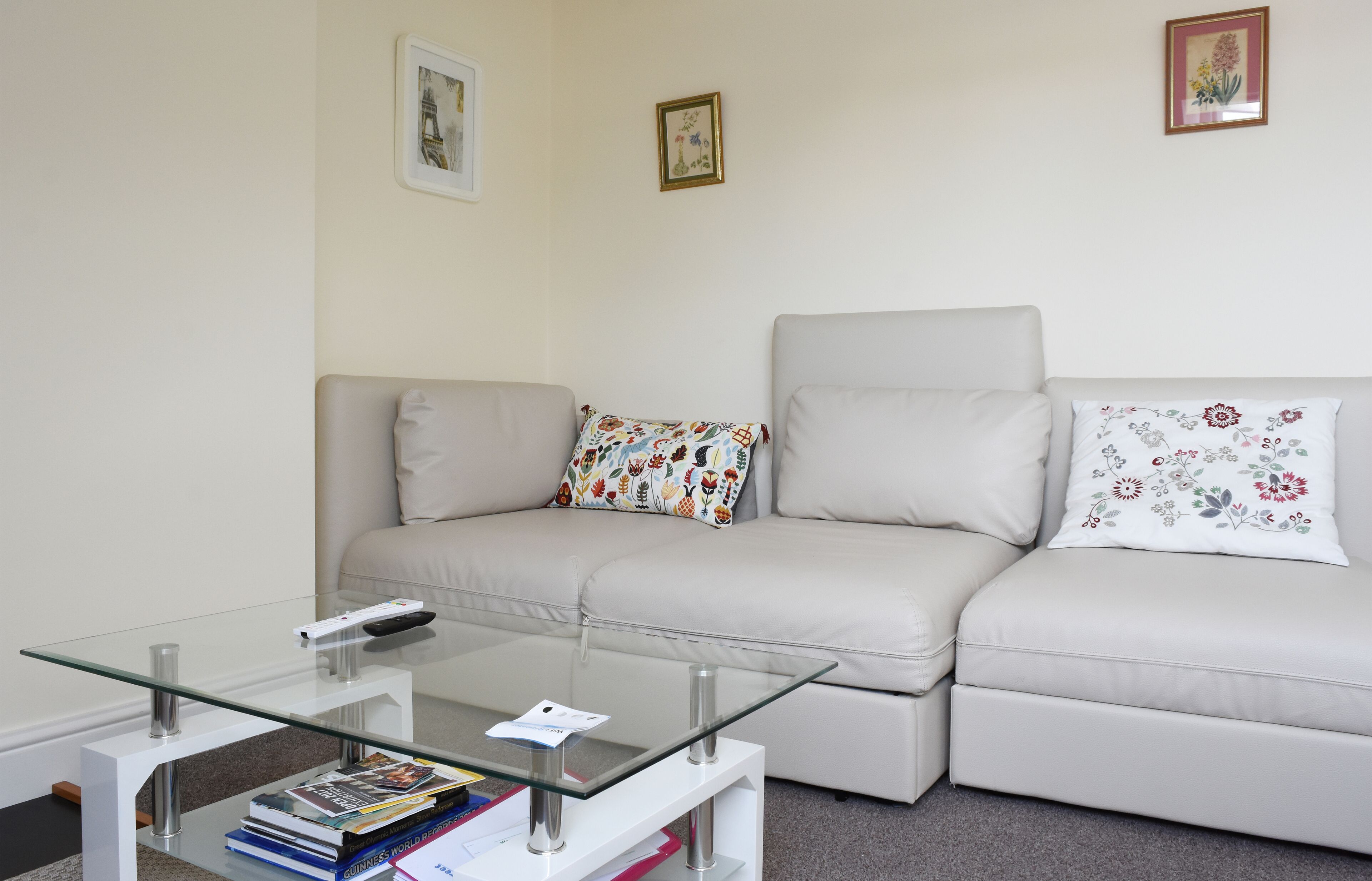 智能电视、壁炉、DVD 播放器、书