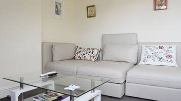 Smart TV, fireplace, DVD player, books