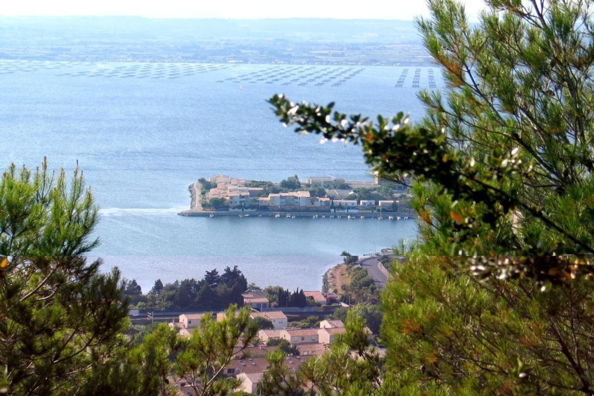 A coastal town with buildings along the waterfront, a clear view of the sea, and surrounding greenery.