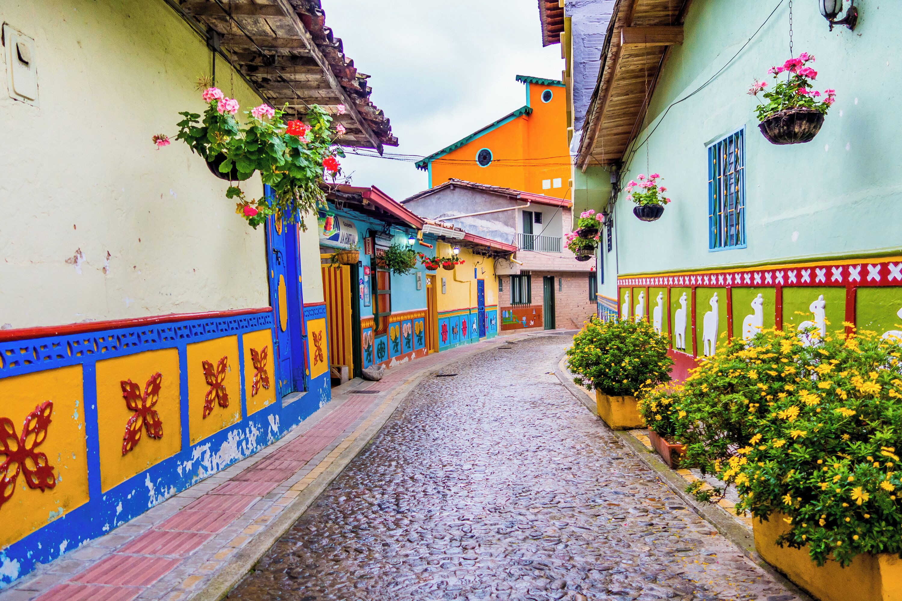 Photo - Hotel Casa San Carlos Lodge Pereira