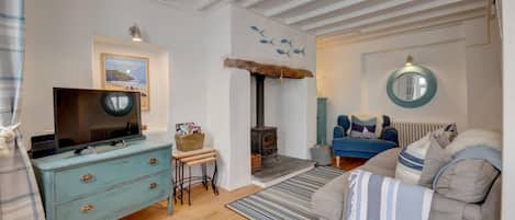 TV, fireplace, books