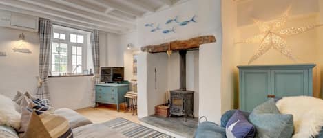 TV, fireplace, books