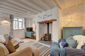 TV, fireplace, books - 2 Bed in West Down (oc-julyco) (West Down)