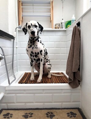 A dog in a bathtub with a towel hanging on the wall. - 2 Bed in West Down (oc-julyco) (West Down)