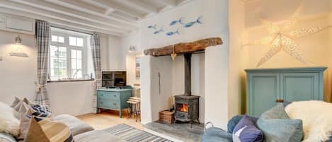 TV, fireplace, books