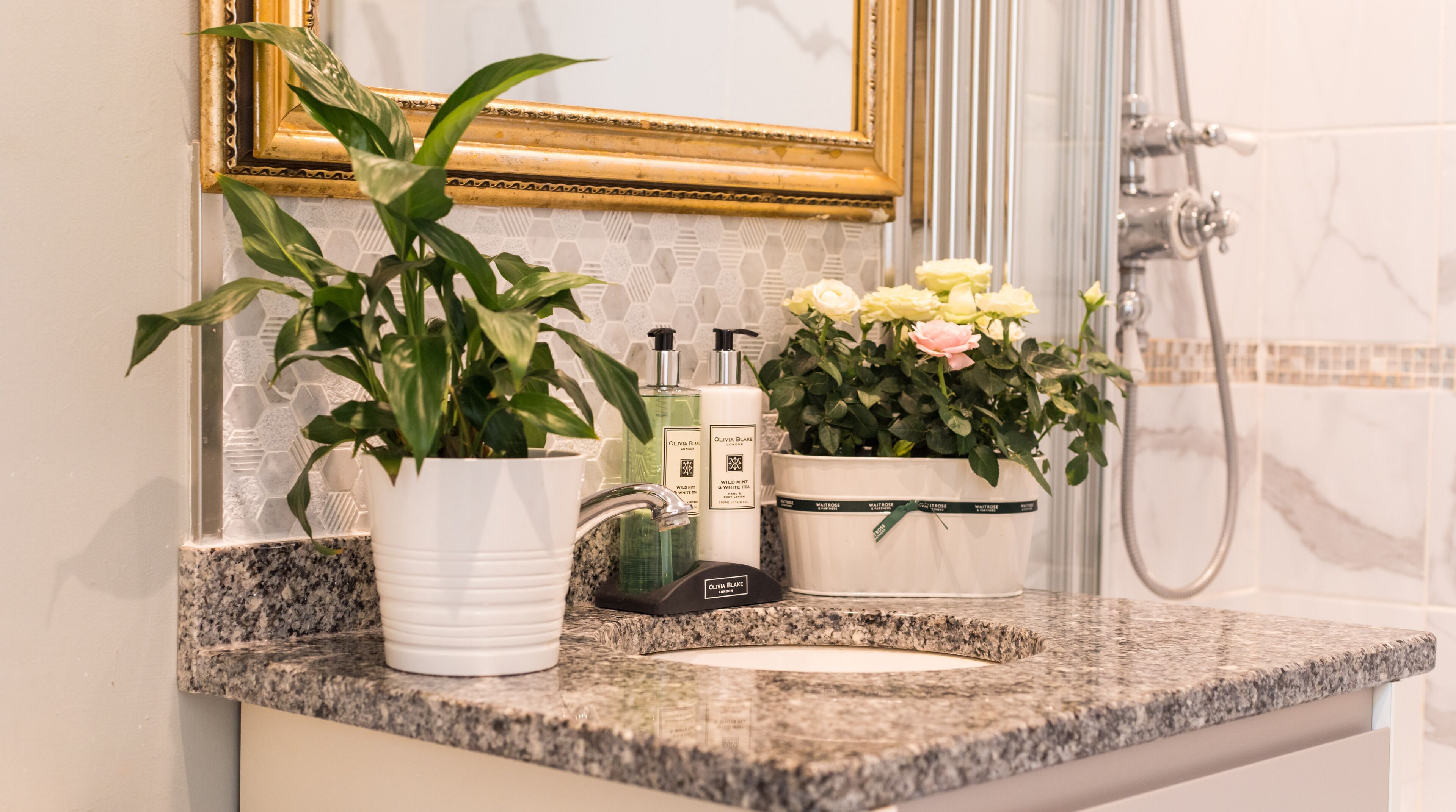 Un baño con encimera de granito, un lavabo blanco, un espejo con marco dorado, una planta en maceta y artículos de aseo.