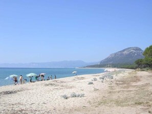 Playa en los alrededores 