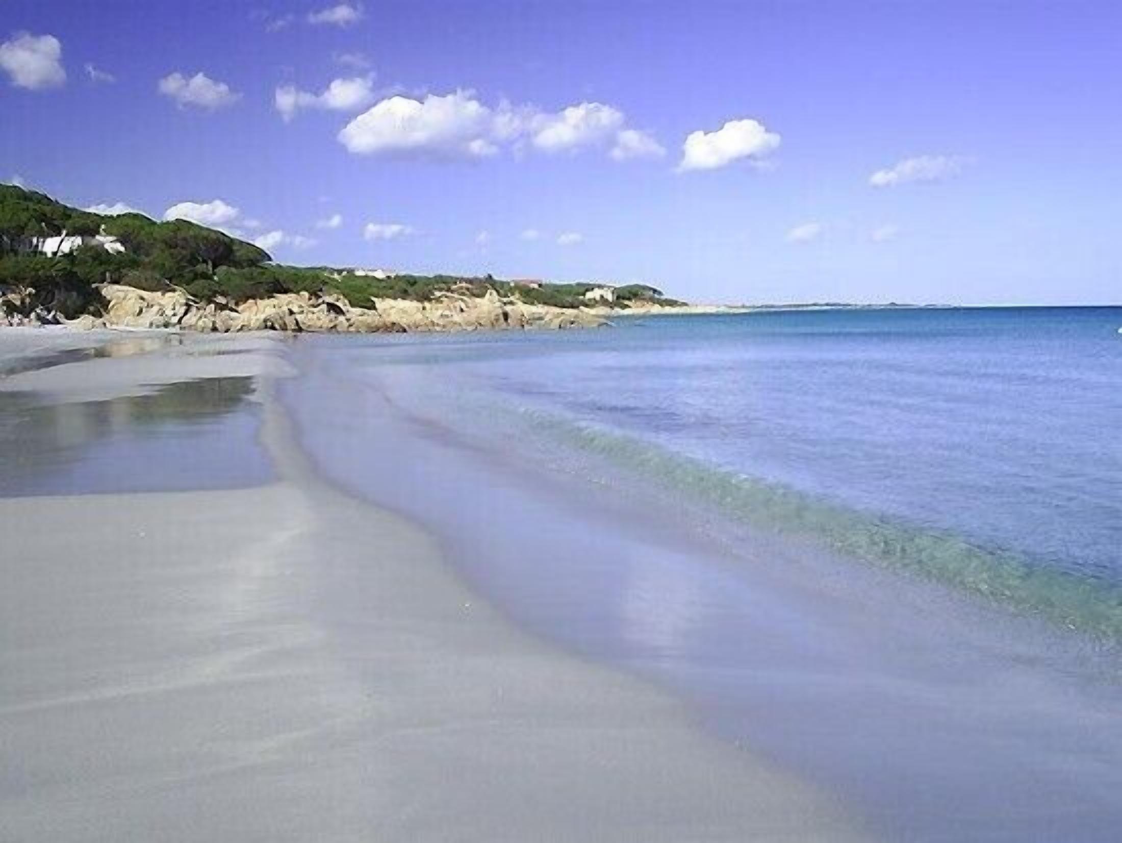 A beach with clear water, sandy shore, and greenery on the hillside.