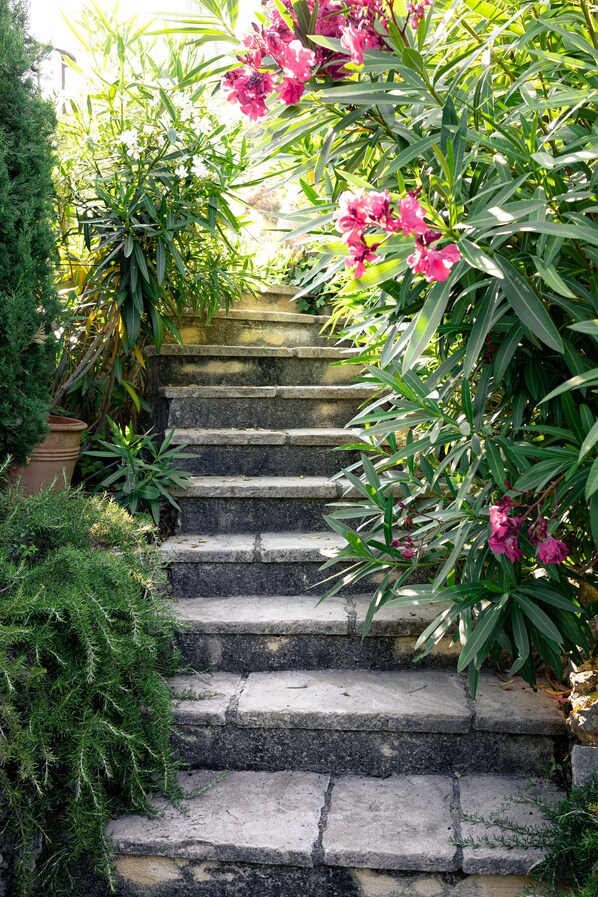 Stenblokke, der fører op til en have med forskellige planter og blomster.