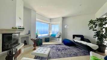 A modern living room with a fireplace, large windows, a sofa, a coffee table, and a potted plant.