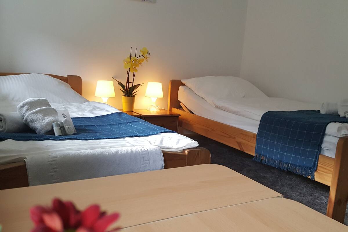 Twin Room | Room amenity