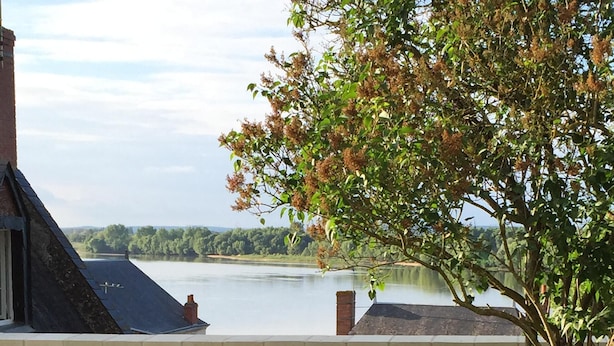 Eine grüne Rasenfläche mit zwei modernen Stühlen und Blick auf einen See.