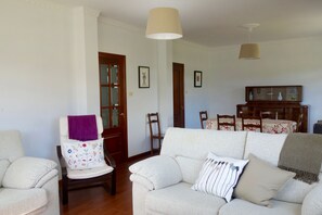 TV, DVD player, video library