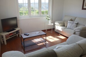 TV, DVD player, video library