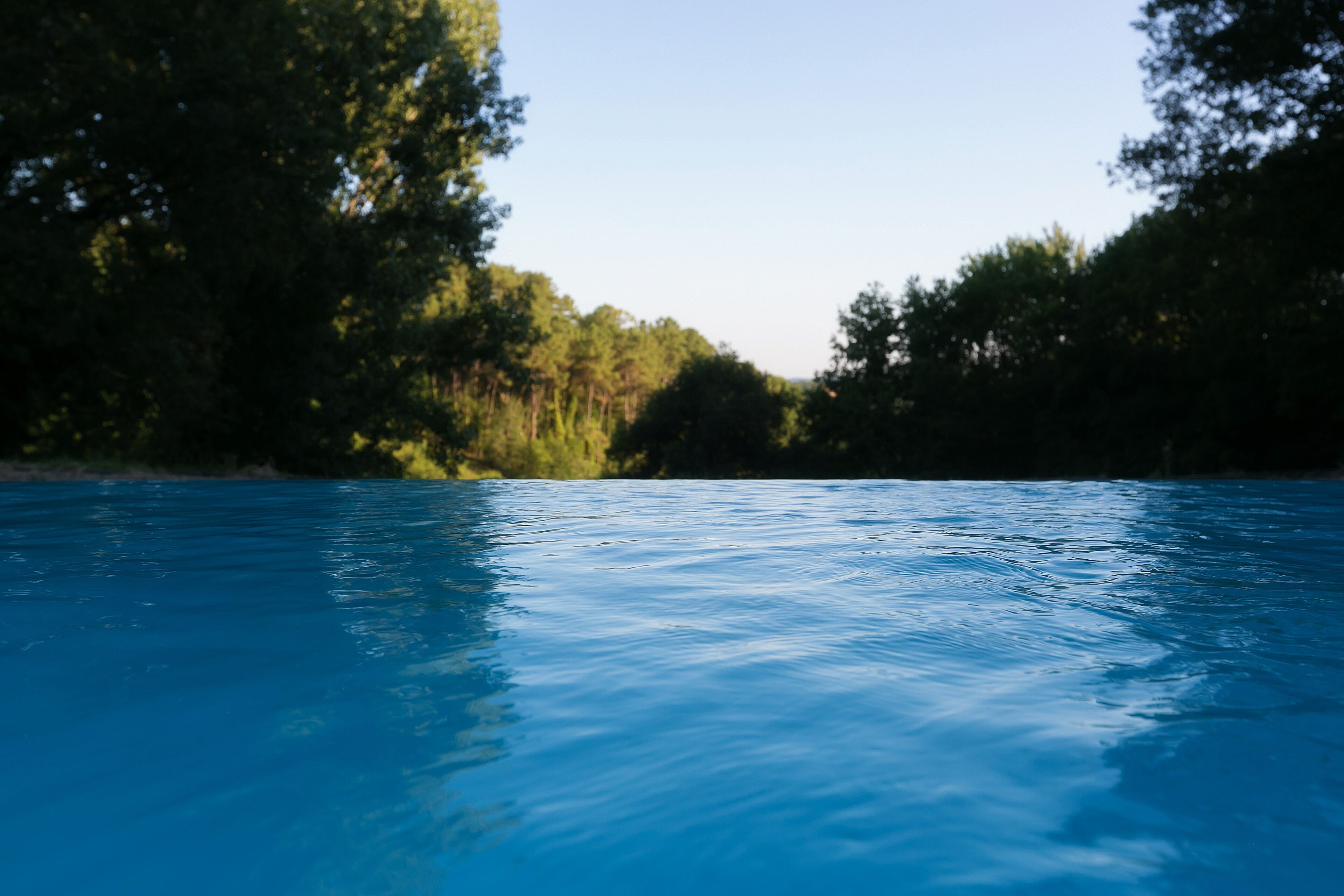 A calm body of water with trees on both sides.