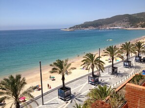 Une plage bordée de palmiers, un ciel dégagé et une vue sur la mer.