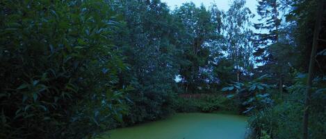 Área da propriedade