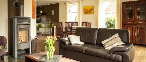 Smart TV, fireplace, DVD player, books