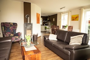 Smart TV, chimenea, reproductor de DVD y libros