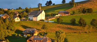 Family vacation, Black Forest, Black Forest, Schauinsland, Internet, animals, Freiburg