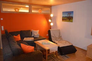TV, DVD player, books, music library